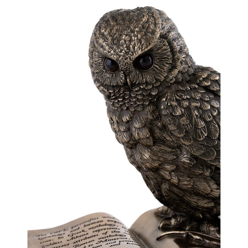 Top Collection Owl on Book Statue - Great Horned Owl Sculpture in Premium Cold Cast Bronze- 7-Inch Collectible Animal Figurine - Image 5